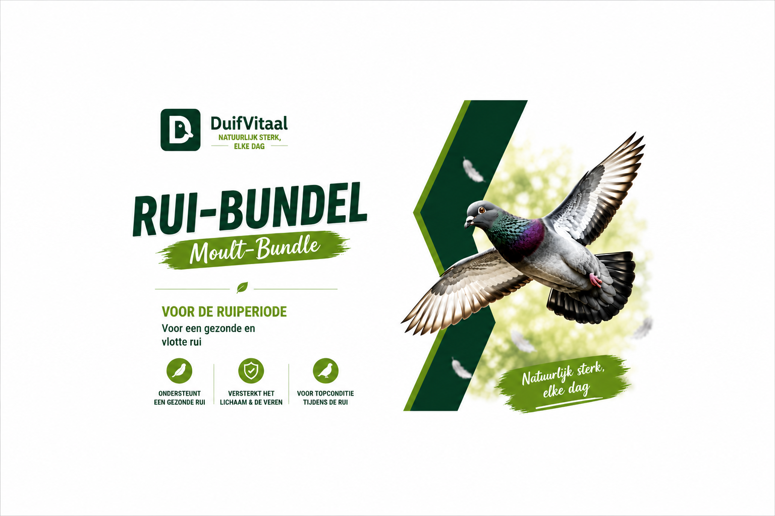 Rui-Bundel