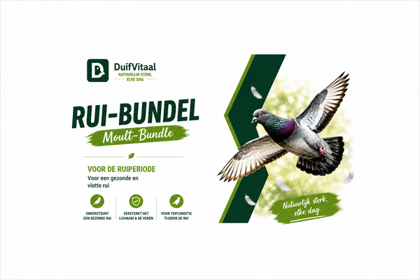 Rui-Bundel